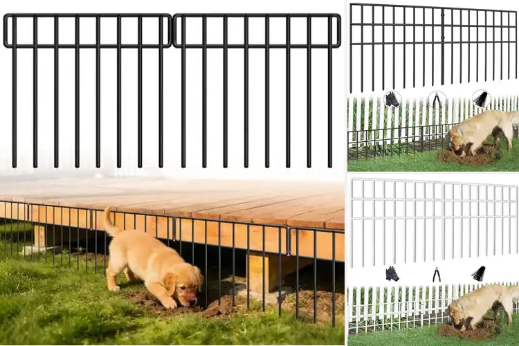 Detailed view of Best Animal Barriers: Protect Your Garden with Ease