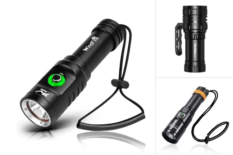 Detailed view of Best Dive Lights