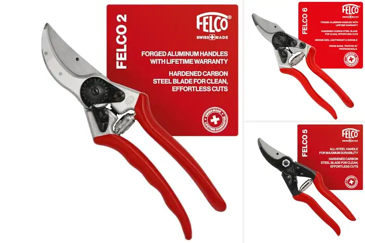 Detailed view of Best Felco Pruners