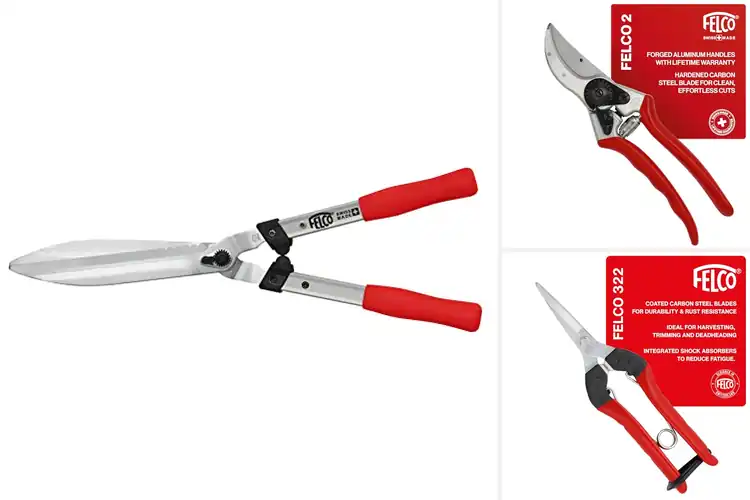 Detailed view of Best Felco Shears