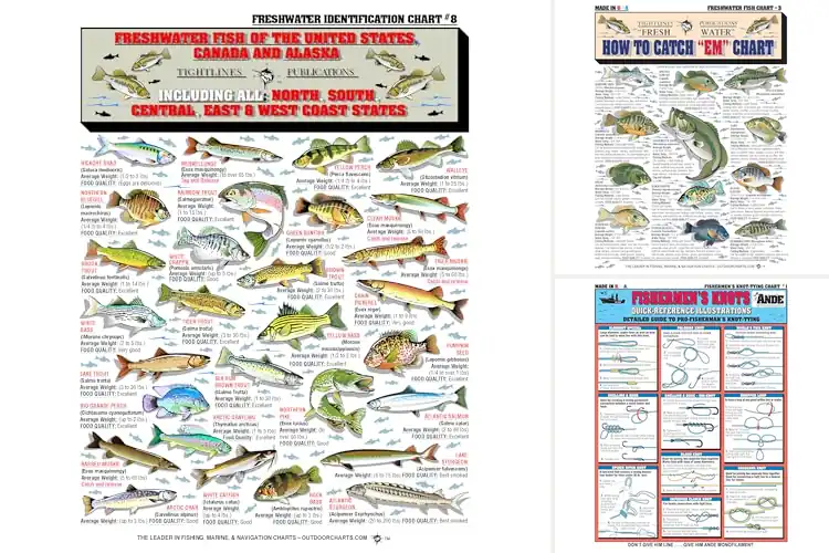 Detailed view of Best Fishing Charts: Simplify Your Trips, Catch More Fish