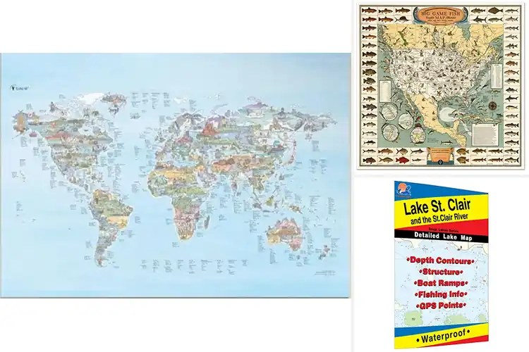 Detailed view of Best Fishing Maps: Top 10 Picks for Big Catches
