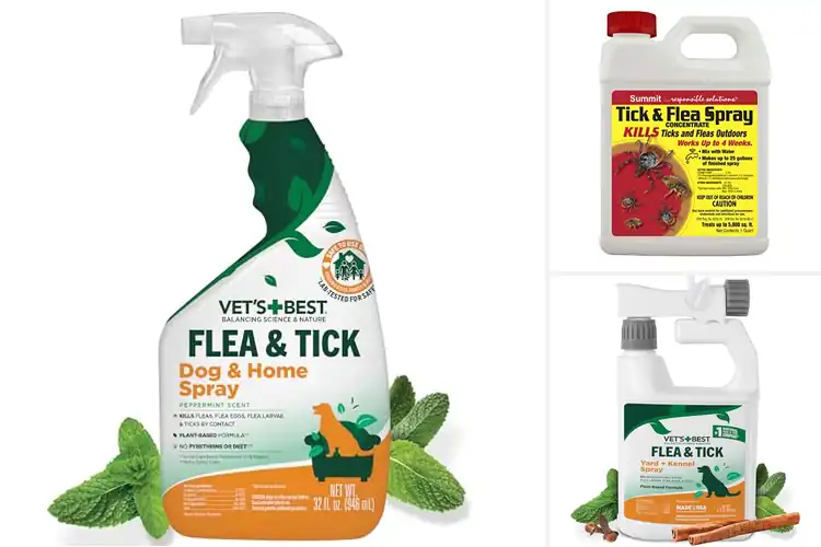 Detailed view of Best Flea And Tick Solutions: Protect Your Pet Fast