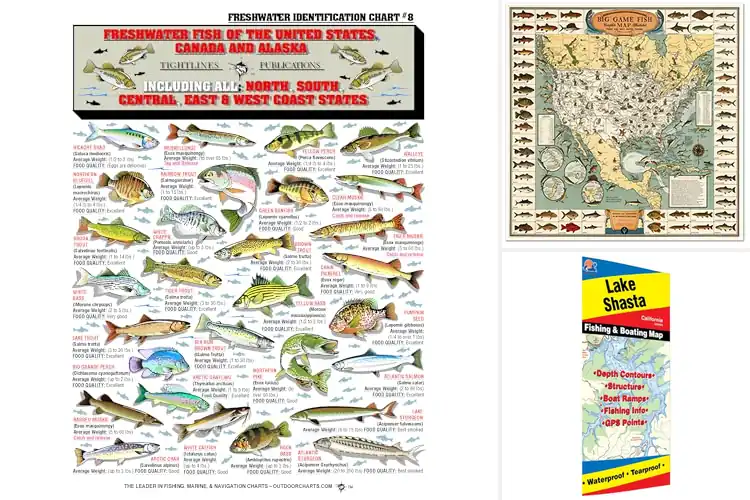 Detailed view of Best Freshwater Fishing Maps: Top 10 Picks for Big Catches