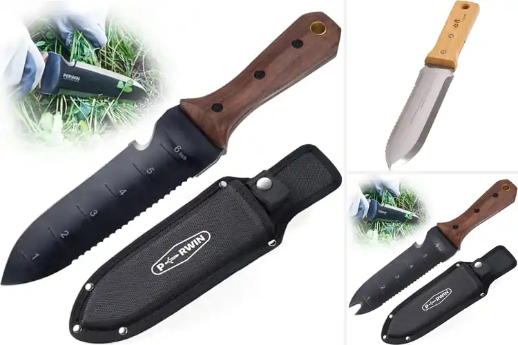 Detailed view of Best Garden Knives: Top 10 Tools for Effortless Outdoor Work