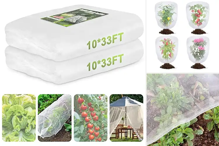 Detailed view of Best Garden Nets: Protect Plants, Let Sunlight & Air Nourish