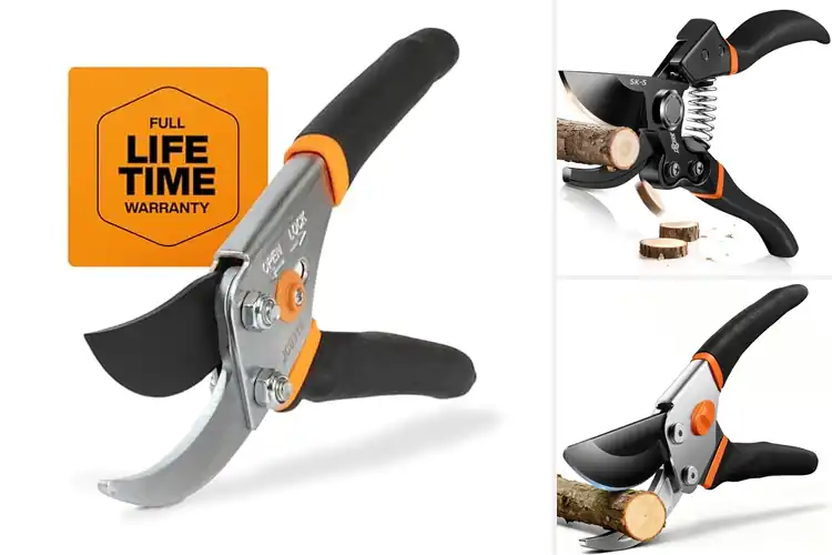 Detailed view of Best Garden Shears