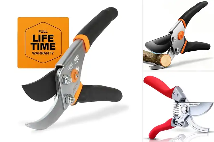 Detailed view of Best Hand Pruners