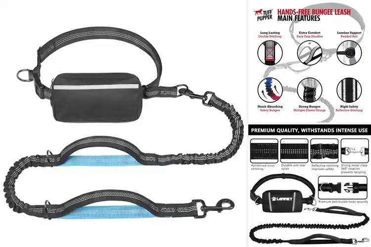 Detailed view of Best Hands Free Dog Leashes: Walk Easier, Stay Active