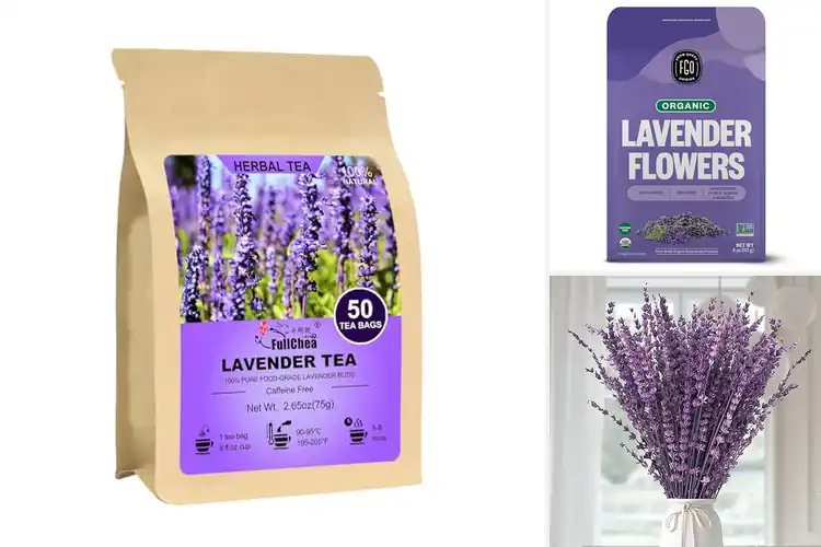 Detailed view of Best Lavender Flowers For Relaxation