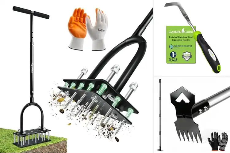Detailed view of Best Lawn And Patio Tools