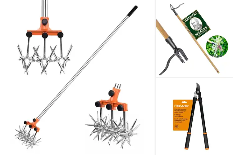 Detailed view of Best Lawn Care Tools: Top 10 Picks for Easy Gardening