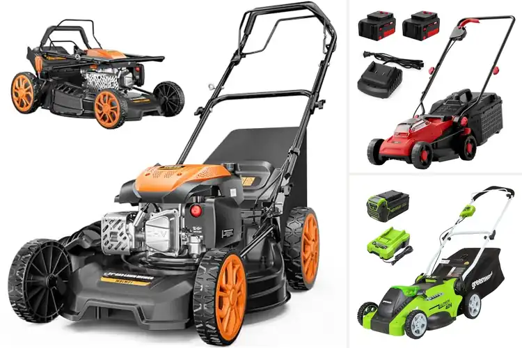 Detailed view of Best Lawn Mowers: 10 Top Picks for Effortless Mowing