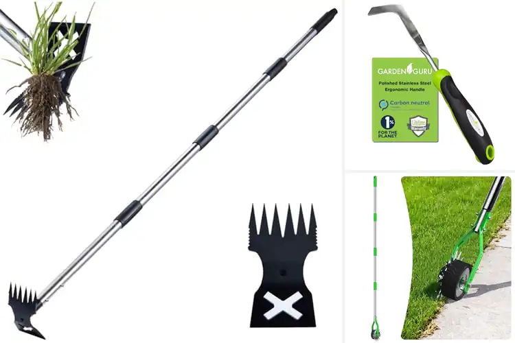 Detailed view of Best Lawn & Patio Tools