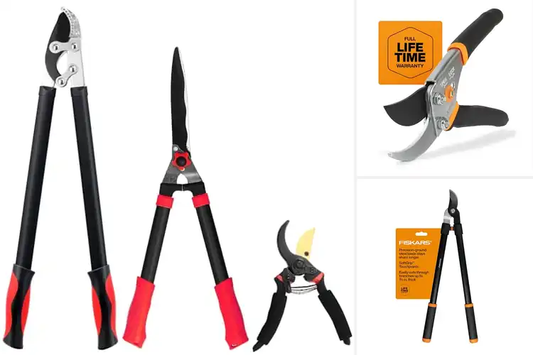 Detailed view of Best Lawn Pruning Tools for Smooth, Healthy Yard Care