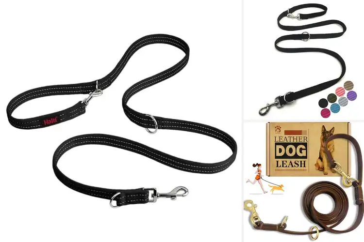 Detailed view of Best Multifunctional Dog Leashes for Stress‑Free Walks