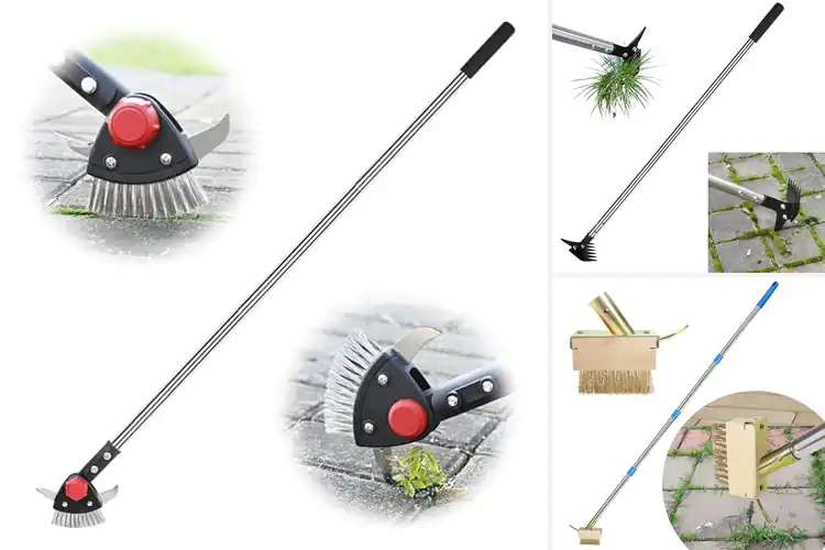 Detailed view of Best Patio Maintenance Tools