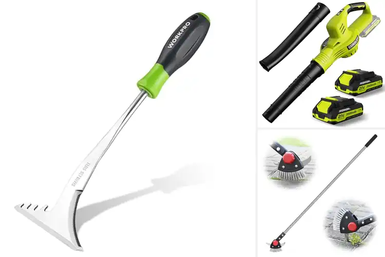 Detailed view of Best Patio Tools: 10 Must-Haves for Effortless Outdoor Care