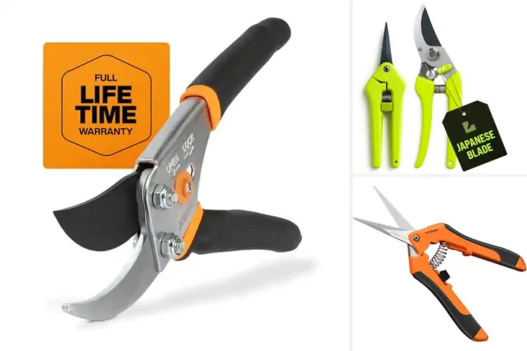 Detailed view of Best Plant Pruners: Top 10 Tools to Transform Your Garden