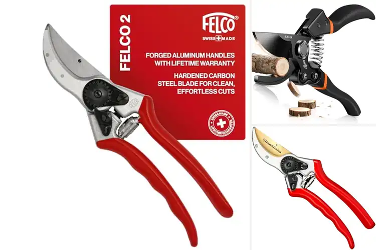 Detailed view of Best Professional Pruners