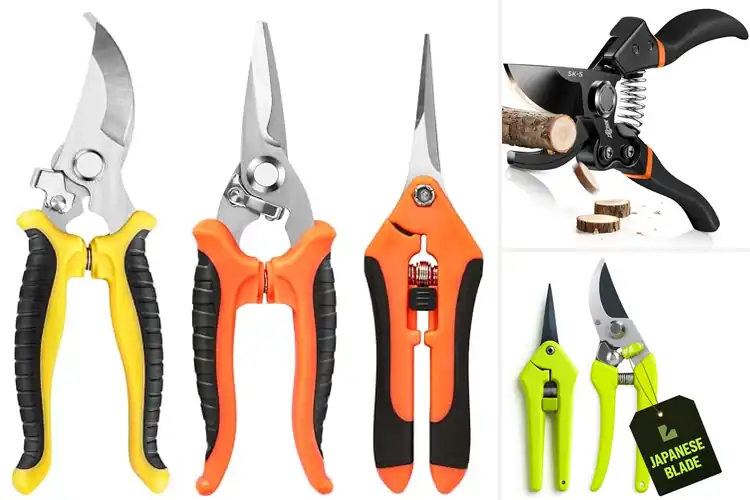 Detailed view of Best Professional Pruning Tools