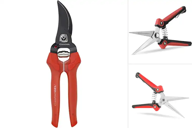 Detailed view of Best Red Pruning Shears