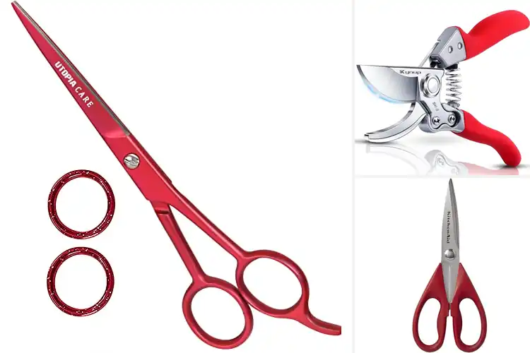 Detailed view of Best Red Shears