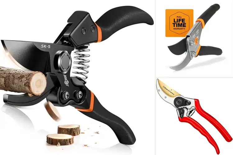 Detailed view of Best Secateurs