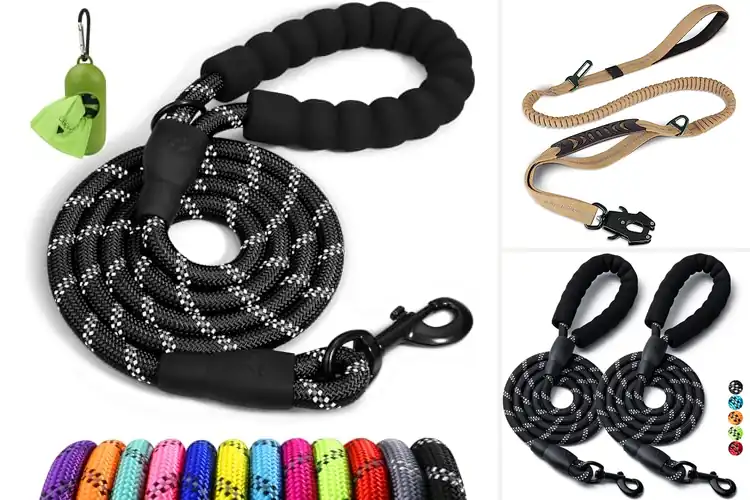 Detailed view of Best Strong Dog Leashes: Top Picks for Safe, Secure Walks