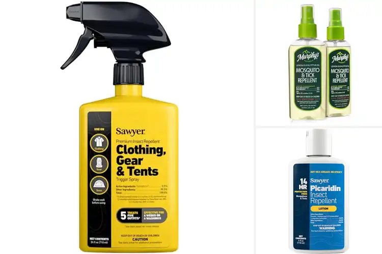 Detailed view of Best Tick Repellents to Protect Your Outdoor Adventures