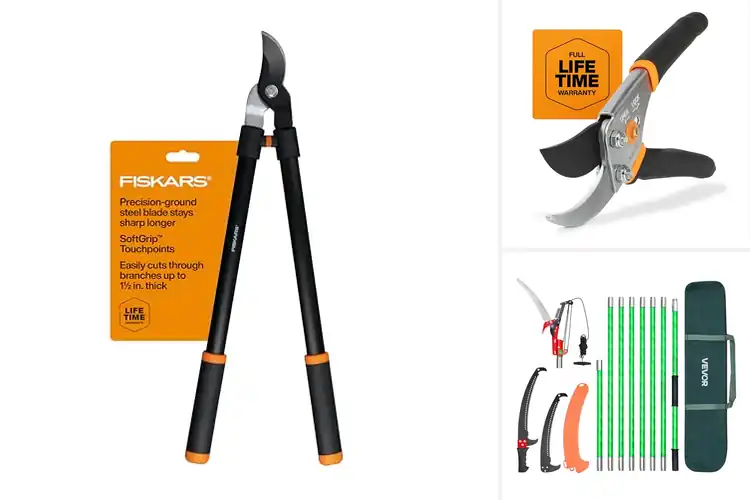 Detailed view of Best Tree Pruning Tools