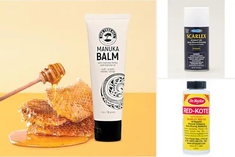 Detailed view of Best Wound Healing Oils: Speedy Scar-Free Recovery